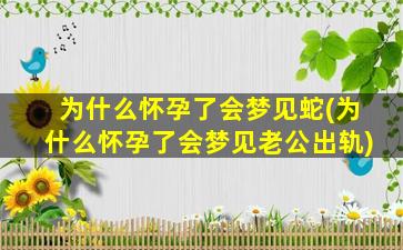 为什么怀孕了会梦见蛇(为什么怀孕了会梦见老公出轨)