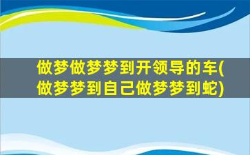 做梦做梦梦到开领导的车(做梦梦到自己做梦梦到蛇)