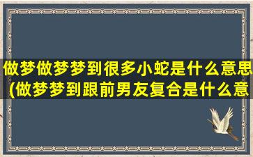 做梦做梦梦到很多小蛇是什么意思(做梦梦到跟前男友复合是什么意思)