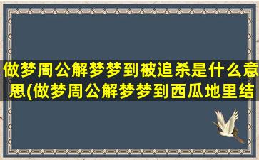 做梦周公解梦梦到被追杀是什么意思(做梦周公解梦梦到西瓜地里结好多西瓜)