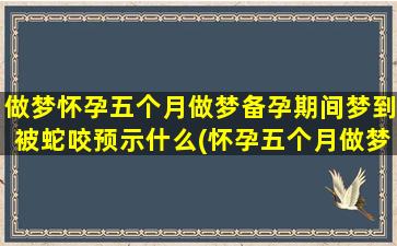 做梦怀孕五个月做梦备孕期间梦到被蛇咬预示什么(怀孕五个月做梦梦到自己生了个女孩)