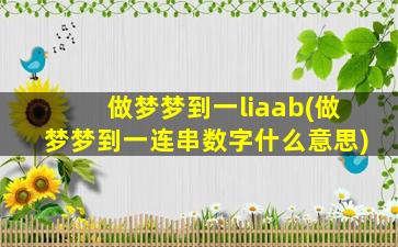 做梦梦到一liaab(做梦梦到一连串数字什么意思)