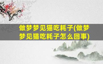 做梦梦见猫吃耗子(做梦梦见猫吃耗子怎么回事)