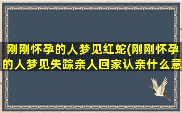 刚刚怀孕的人梦见红蛇(刚刚怀孕的人梦见失踪亲人回家认亲什么意思)