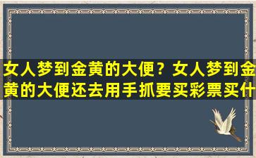 女人梦到金黄的大便？女人梦到金黄的大便还去用手抓要买彩票买什么数字好