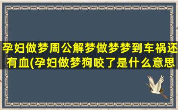 孕妇做梦周公解梦做梦梦到车祸还有血(孕妇做梦狗咬了是什么意思周公解梦)