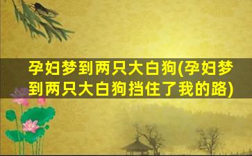 孕妇梦到两只大白狗(孕妇梦到两只大白狗挡住了我的路)