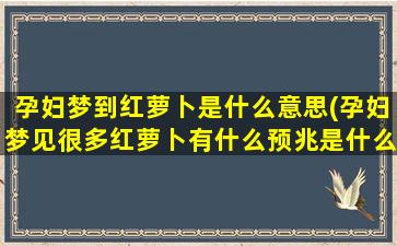 孕妇梦到红萝卜是什么意思(孕妇梦见很多红萝卜有什么预兆是什么意思)