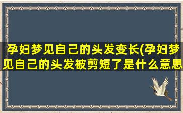 孕妇梦见自己的头发变长(孕妇梦见自己的头发被剪短了是什么意思)