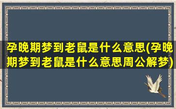 孕晚期梦到老鼠是什么意思(孕晚期梦到老鼠是什么意思周公解梦)