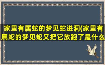 家里有属蛇的梦见蛇进洞(家里有属蛇的梦见蛇又把它放跑了是什么兆头)