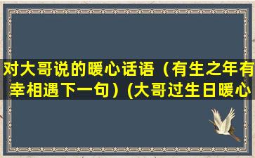 对大哥说的暖心话语（有生之年有幸相遇下一句）(大哥过生日暖心的话)