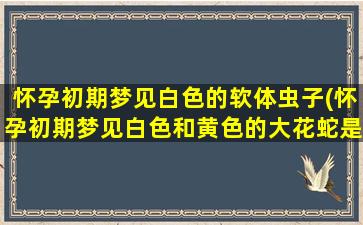 怀孕初期梦见白色的软体虫子(怀孕初期梦见白色和黄色的大花蛇是什么意思)