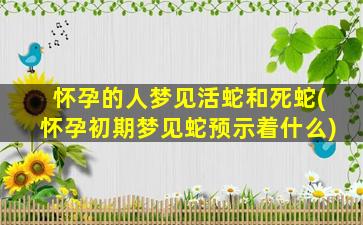 怀孕的人梦见活蛇和死蛇(怀孕初期梦见蛇预示着什么)