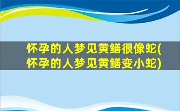 怀孕的人梦见黄鳝很像蛇(怀孕的人梦见黄鳝变小蛇)