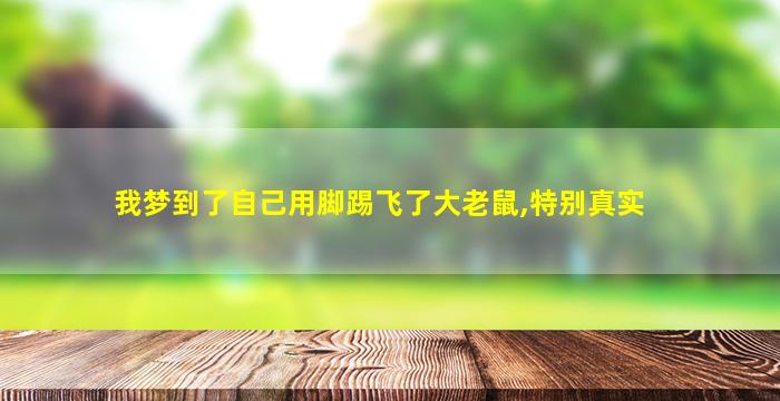 我梦到了自己用脚踢飞了大老鼠,特别真实