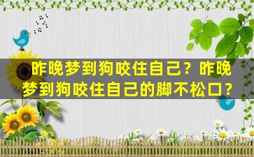 昨晚梦到狗咬住自己？昨晚梦到狗咬住自己的脚不松口？