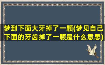 梦到下面大牙掉了一颗(梦见自己下面的牙齿掉了一颗是什么意思)