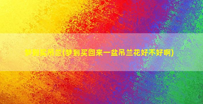 梦到买吊兰(梦到买回来一盆吊兰花好不好啊)