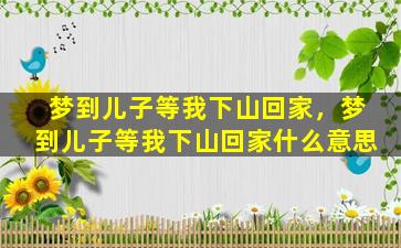 梦到儿子等我下山回家，梦到儿子等我下山回家什么意思