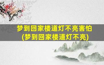 梦到回家楼道灯不亮害怕(梦到回家楼道灯不亮)