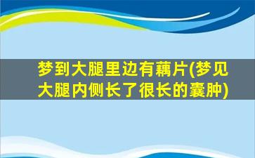 梦到大腿里边有藕片(梦见大腿内侧长了很长的囊肿)