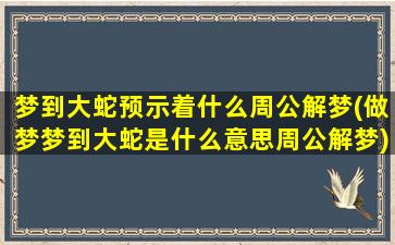 梦到大蛇预示着什么周公解梦(做梦梦到大蛇是什么意思周公解梦)