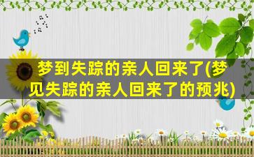 梦到失踪的亲人回来了(梦见失踪的亲人回来了的预兆)