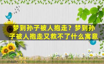 梦到孙子被人抱走？梦到孙子被人抱走又救不了什么寓意