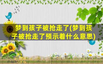 梦到孩子被抢走了(梦到孩子被抢走了预示着什么意思)