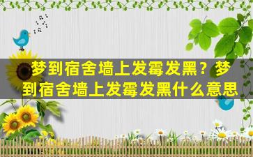 梦到宿舍墙上发霉发黑？梦到宿舍墙上发霉发黑什么意思