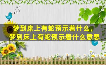 梦到床上有蛇预示着什么，梦到床上有蛇预示着什么意思