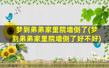 梦到弟弟家里院墙倒了(梦到弟弟家里院墙倒了好不好)