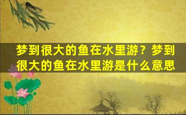 梦到很大的鱼在水里游？梦到很大的鱼在水里游是什么意思