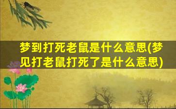 梦到打死老鼠是什么意思(梦见打老鼠打死了是什么意思)