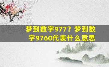 梦到数字977？梦到数字9760代表什么意思