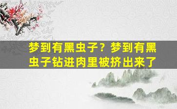 梦到有黑虫子？梦到有黑虫子钻进肉里被挤出来了