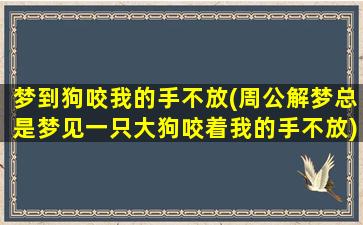 梦到狗咬我的手不放(周公解梦总是梦见一只大狗咬着我的手不放)