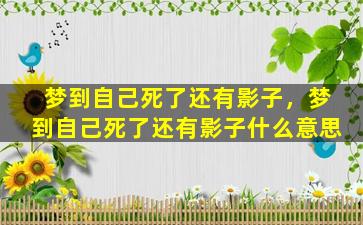 梦到自己死了还有影子，梦到自己死了还有影子什么意思