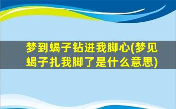 梦到蝎子钻进我脚心(梦见蝎子扎我脚了是什么意思)