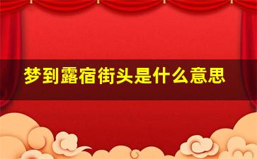 梦到露宿街头是什么意思