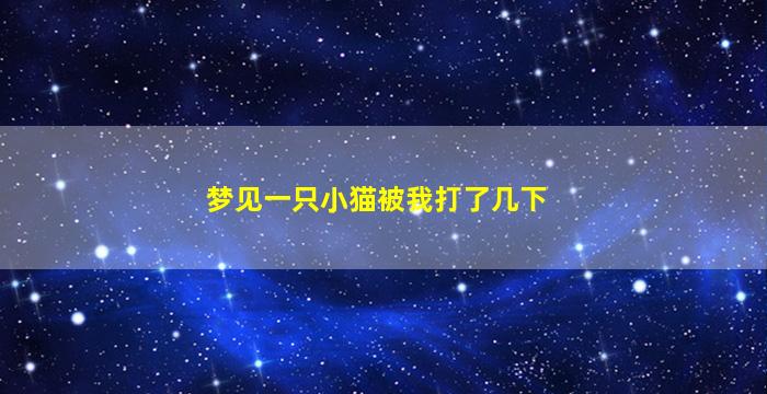 梦见一只小猫被我打了几下