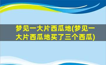 梦见一大片西瓜地(梦见一大片西瓜地买了三个西瓜)