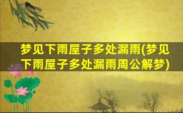 梦见下雨屋子多处漏雨(梦见下雨屋子多处漏雨周公解梦)