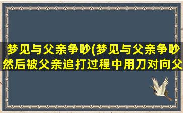 梦见与父亲争吵(梦见与父亲争吵然后被父亲追打过程中用刀对向父亲)