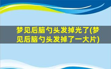 梦见后脑勺头发掉光了(梦见后脑勺头发掉了一大片)