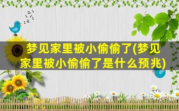 梦见家里被小偷偷了(梦见家里被小偷偷了是什么预兆)