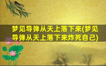 梦见导弹从天上落下来(梦见导弹从天上落下来炸死自己)