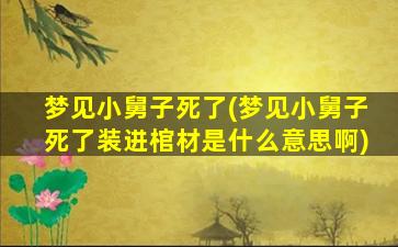 梦见小舅子死了(梦见小舅子死了装进棺材是什么意思啊)