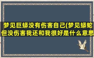 梦见巨蟒没有伤害自己(梦见蟒蛇但没伤害我还和我很好是什么意思)